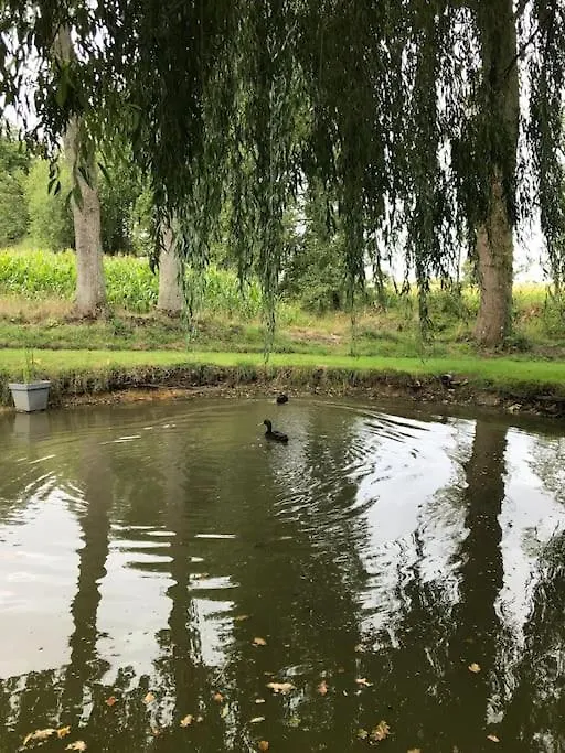 Charmant Gite Entre Vallee De La Rance Et Cote D'Emeraude Pleslin-Trigavou France